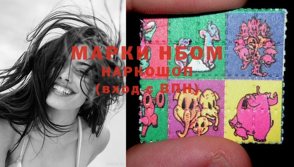 PSILOCYBIN Алзамай