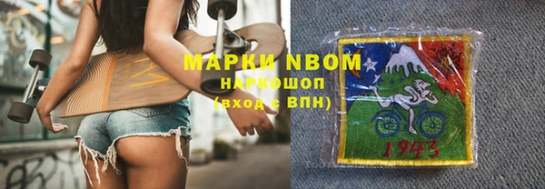 PSILOCYBIN Алзамай