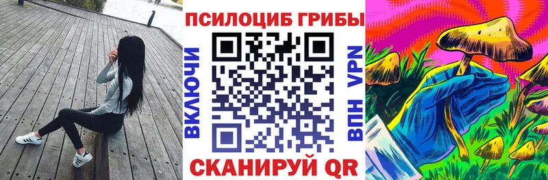 хочу   Темрюк  Галлюциногенные грибы Psilocybe 
