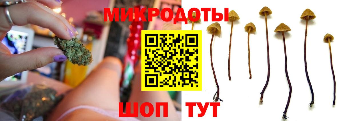 Темрюк  Псилоцибиновые грибы мухоморы  Галлюциногенные грибы Magic Shrooms  Вход с VPN 