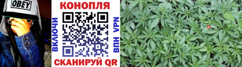Марихуана OG Kush  Темрюк 